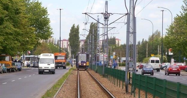 Tramwaje i autobusy objęte są specjalnymi prawami /INTERIA.PL