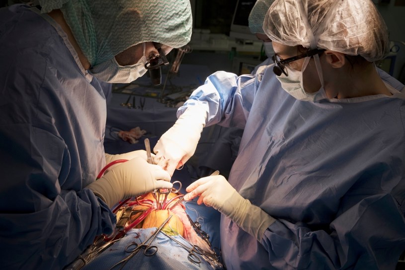 Transplantacje heterotopowe uratowały do tej pory życie ponad 150 osobom na świecie /AFP