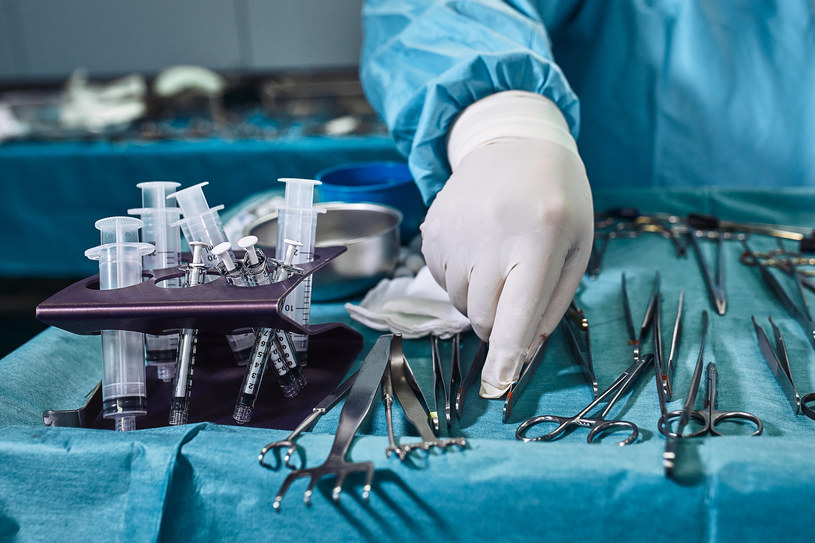 Transplantologia to dziedzina medycyny zajmująca się przeszczepianiem narządów i tkanek /123RF/PICSEL