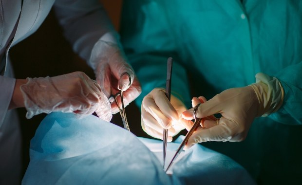 Transplantologia w Polsce. Pandemia obniżyła liczbę przeszczepień