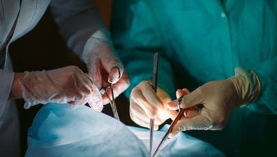 Transplantologia w Polsce. Pandemia obniżyła liczbę przeszczepień