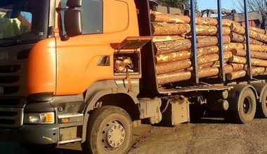 Transport drewna bez jakiegokolwiek zabezpieczenia - kierowcy z mandatami