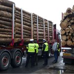 Transport drewna pod lupą. Rekordzista przeładowany o 11 ton