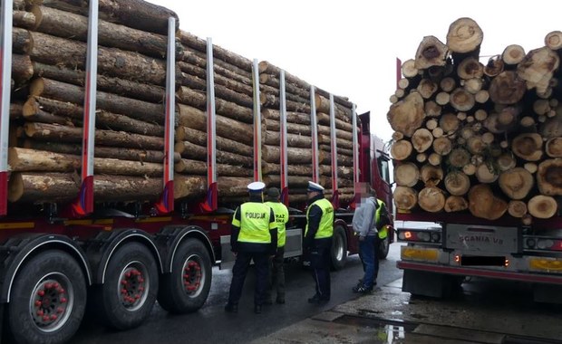 Transport drewna pod lupą. Rekordzista przeładowany o 11 ton