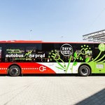 Transport miejski oparty o autobusy elektryczne