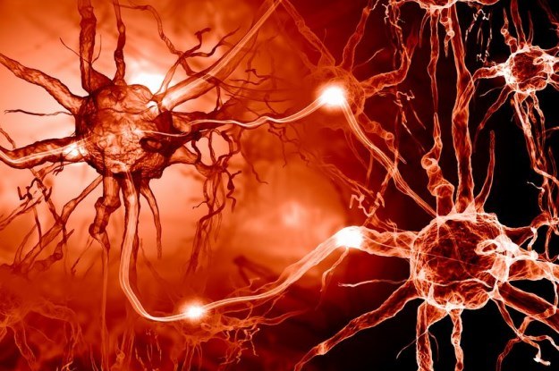 Transport pęcherzykowy występuje m.in. w kontaktujących się ze sobą neuronach. Jego zaburzenia mogą prowadzić do choroby Alzheimera /123RF/PICSEL