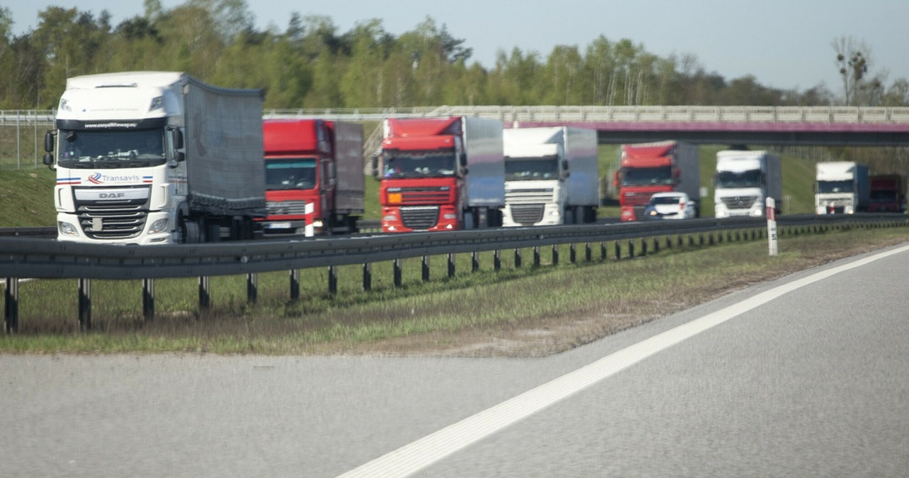 Transport to nie tylko samochody osobowe, ale w dużej mierze napędzane potężnymi dieslami ciężarówki.  One na baterie nie pojadą /Maciej Łuczniewski /Reporter