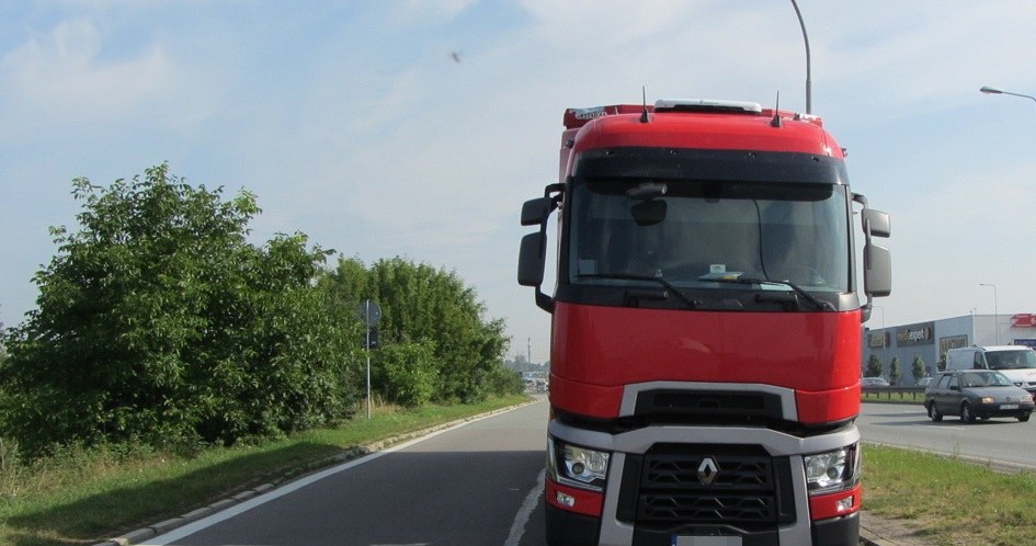 Transport zwierząto odbywał się w skandalicznych warunkach /ITD