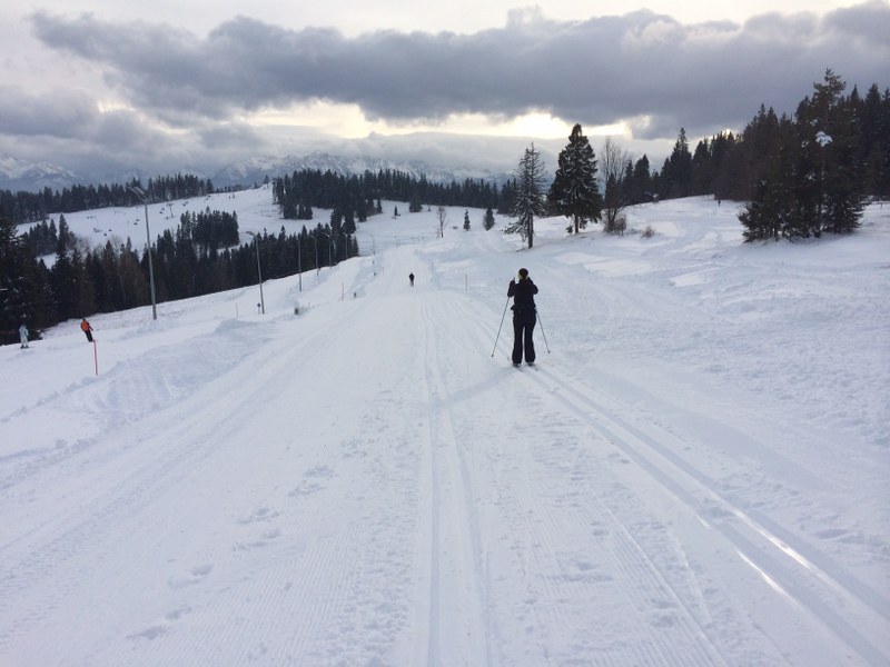 Trasa biegowa w Białce Tatrzańskiej /Maciej Pałahicki /RMF FM