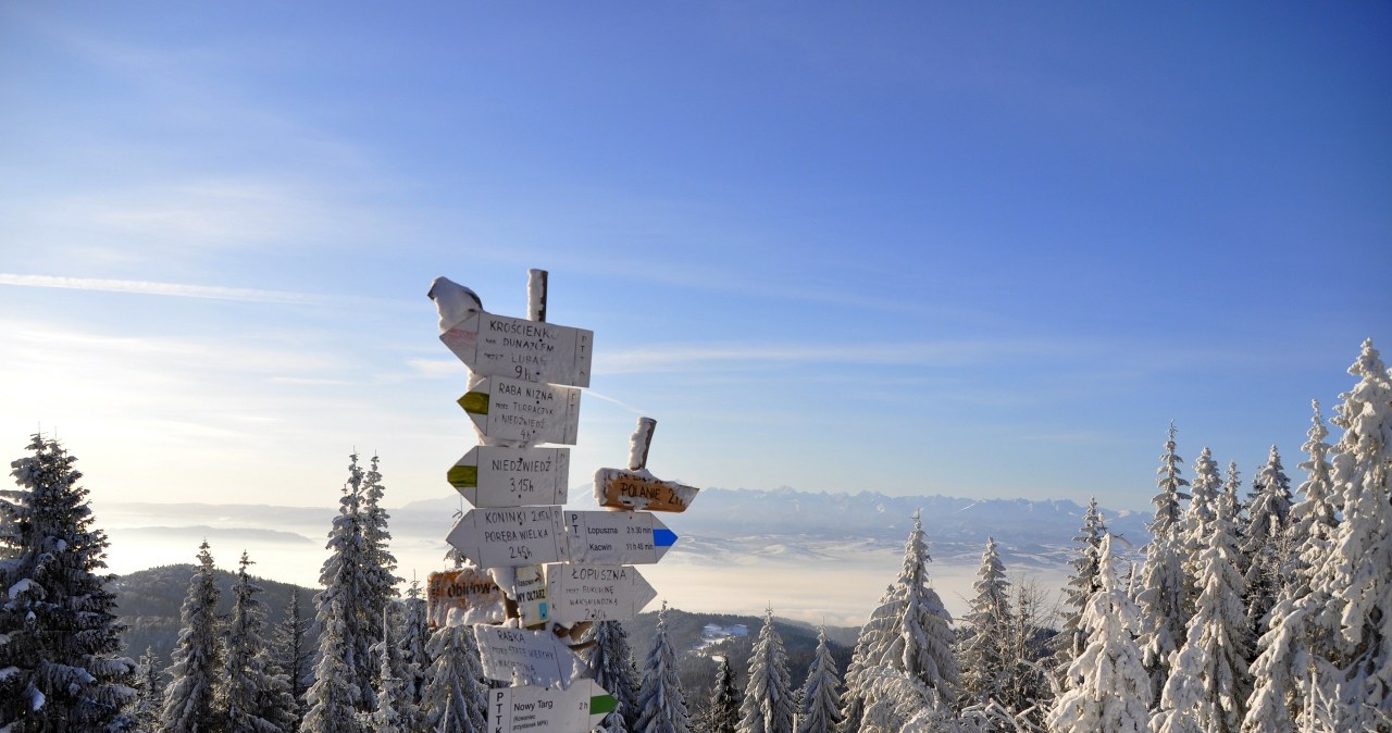 Trasa dobra dla biegaczy na nartach, a także pieszych wędrowców. Co warto o niej wiedzieć? /East News