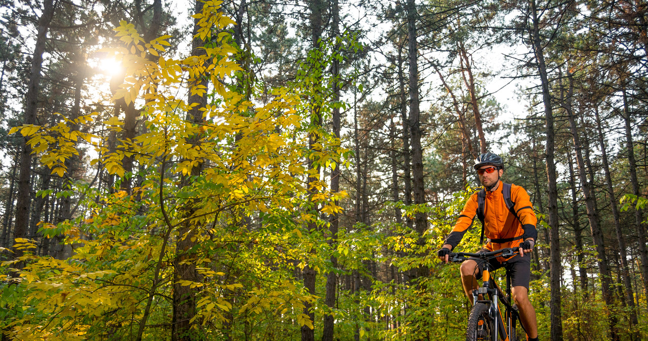 Trasa Green Velo jest nie tylko bardzo rozbudowana, ale i malownicza /123RF/PICSEL