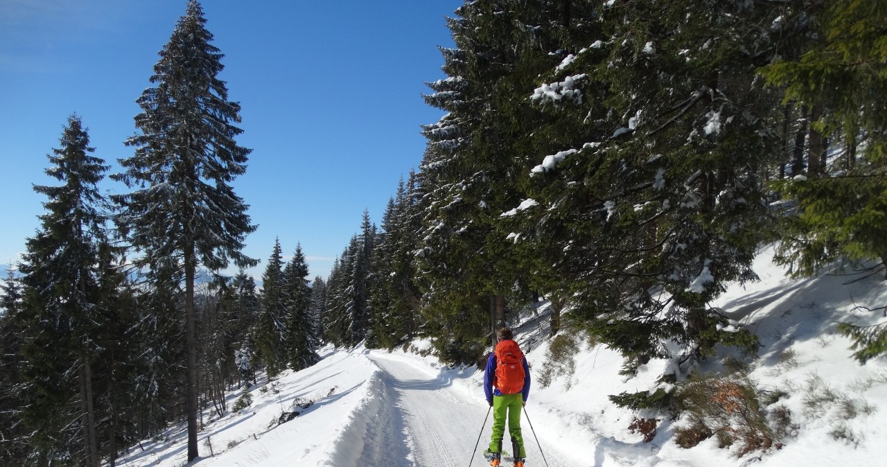 Trasie "Śladami Olimpijczyków" patronuje sama Justyna Kowalczyk, ceniona biegaczka narciarska, mistrzyni i multimedalistka olimpijska. /East News