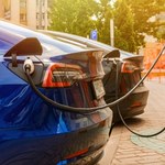 Trend na rynku się zmienia. Najniższe zainteresowanie elektrykami od lat