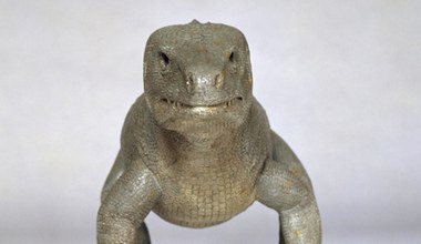 Trochę jak krokodyl, ale to nie on. Gonił swoje ofiary po lądzie