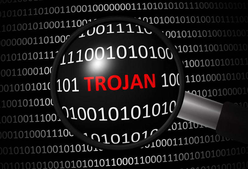Trojan infekował komputery za pośrednictwem sterownika przygotowanego przez cyberprzestępców /123RF/PICSEL