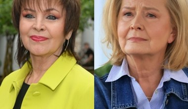Trojanowska nie ma wątpliwości ws. Bursztynowicz w "TzG". Wystarczyło jedno słowo [POMPONIK EXCLUSIVE]