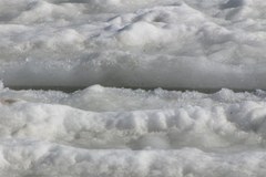 Trójmiasto: Uwaga na topniejące lody na zatokach