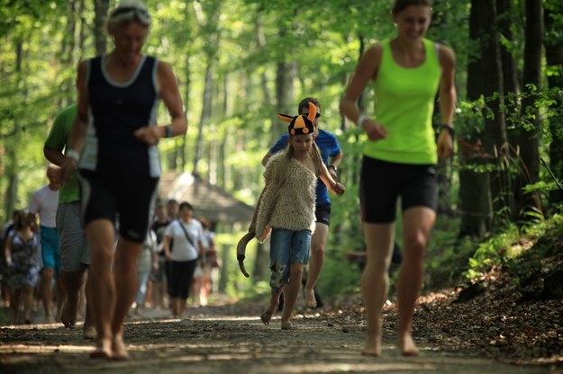 Trójmiejski Park Krajobrazowy /Roman Jocher    /PAP