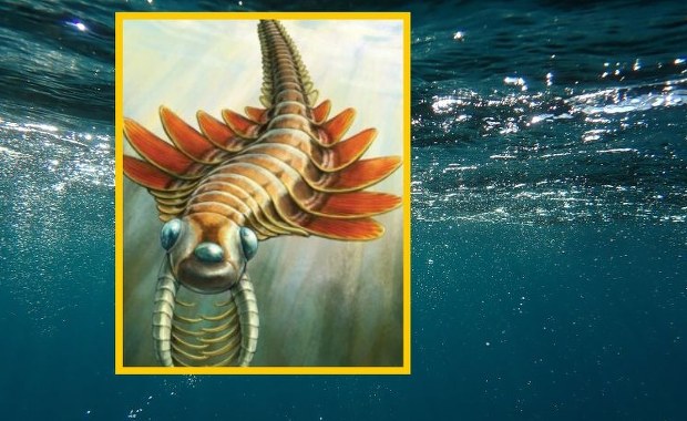 Trójoki łowca sprzed epok. Poznaj Mosurę fentoni!