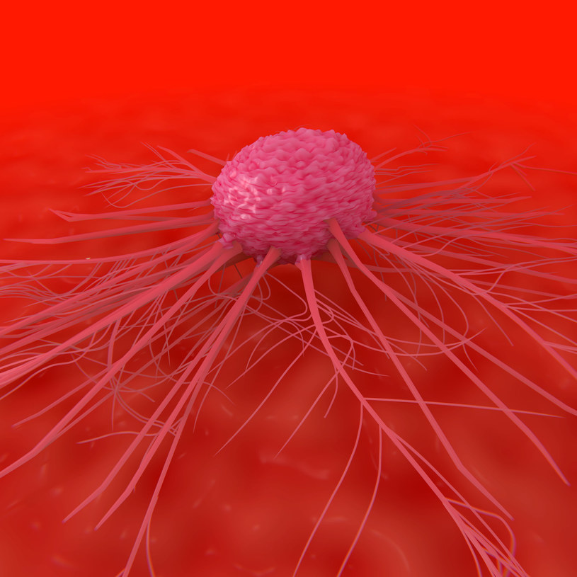 Trójwymiarowa grafika przedstawiająca komórkę nowotworową /123RF/PICSEL