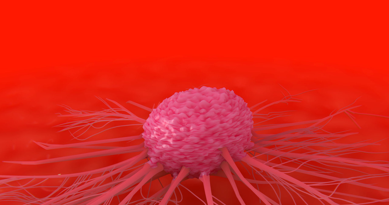 Trójwymiarowa grafika przedstawiająca komórkę nowotworową /123RF/PICSEL