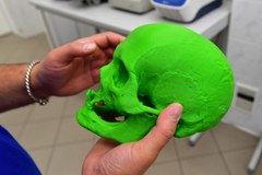 Trójwymiarowy model czaszki "czarownicy"
