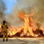 Tropikalne upały doprowadziły do dużych pożarów lasów w Portugalii
