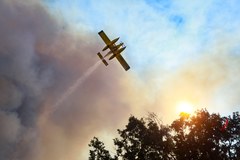 Tropikalne upały w Portugalii doprowadziły do dużych pożarów lasów 
