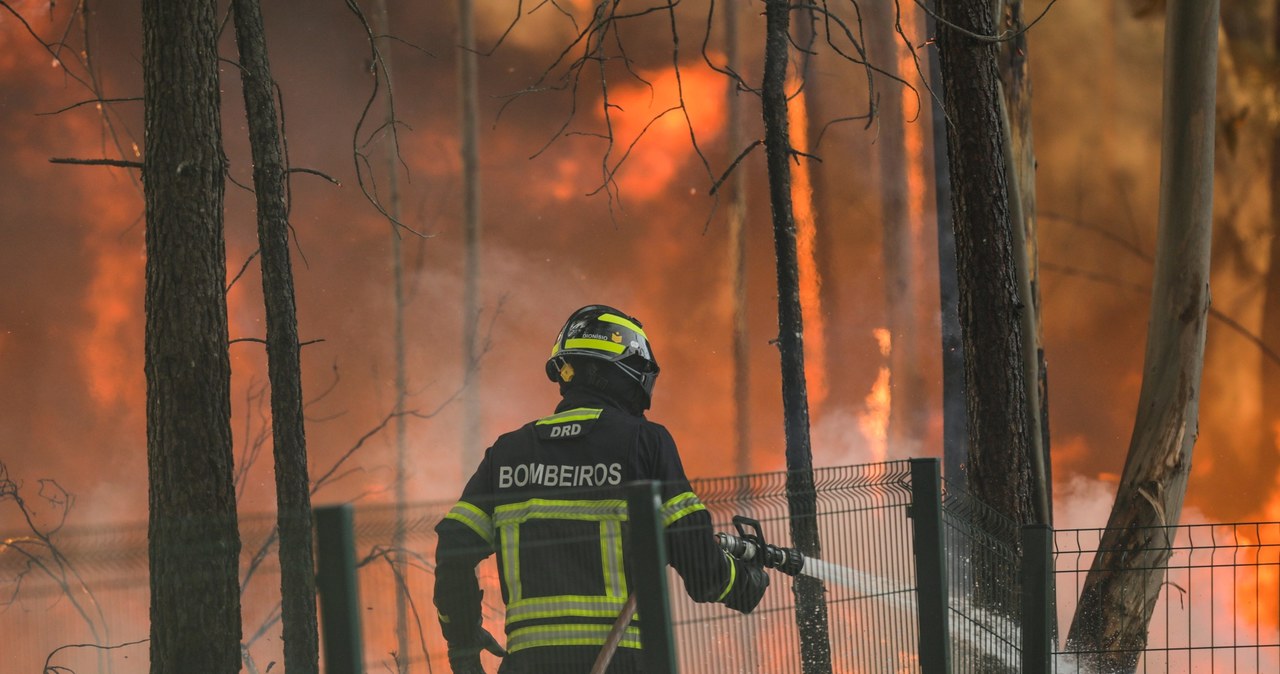 Tropikalne upały w Portugalii doprowadziły do dużych pożarów lasów 