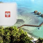 Tropikalne wybory 2025. Oto najbardziej egzotyczne z komisji