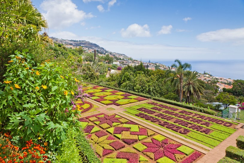 Tropikalny ogród botaniczny w mieście Funchal na Maderze.