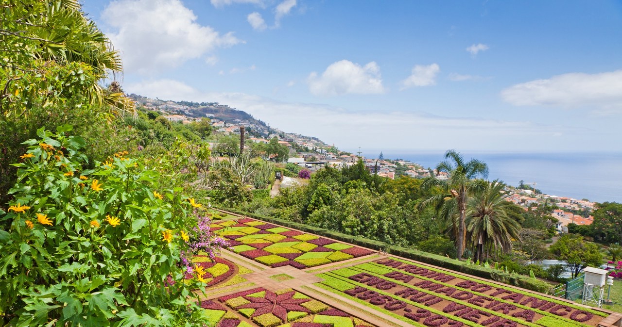 Tropikalny ogród botaniczny w mieście Funchal na Maderze. /123RF/PICSEL
