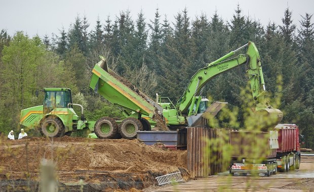Truchła zagrażają wodom gruntowym. Dania wykopuje miliony martwych norek 