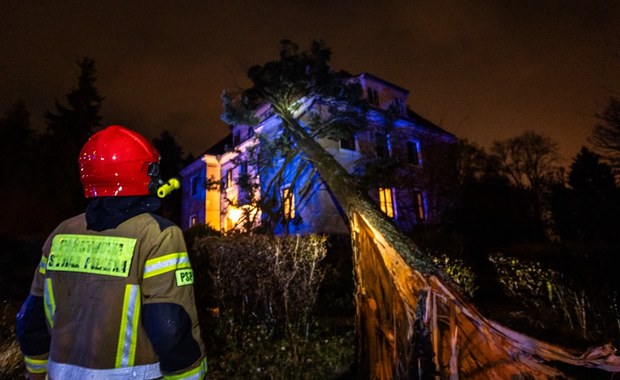 Trudna noc strażaków. W Ełku drzewo spadło na budynek