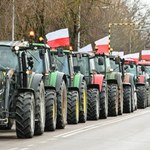 Trudna sytuacja rolników w Polsce. "Problemem nie jest Zielony Ład"