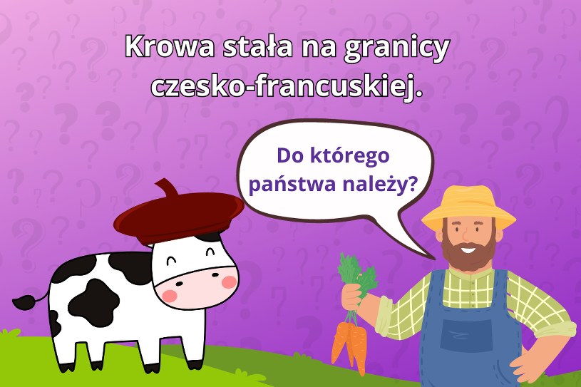 Trudna zagadka na logiczne myślenie. 99% osób błędnie odpowiada na to pytanie. Do którego państwa należy krowa?