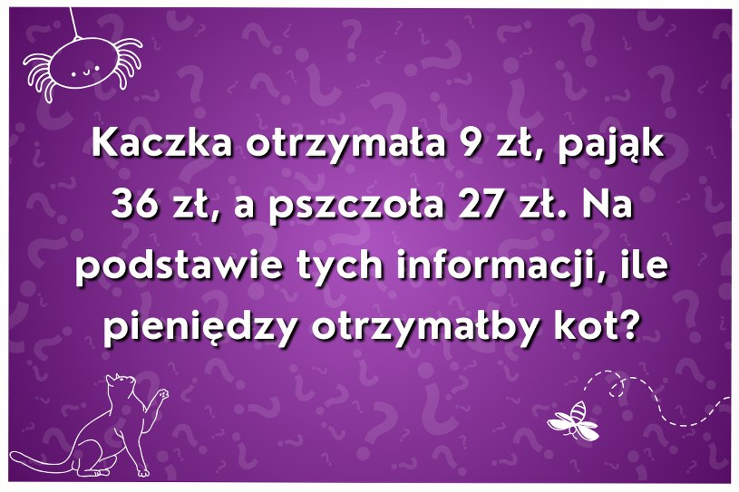 Trudna zagadka wyłącznie dla najbystrzejszych umysłów. Ile pieniędzy otrzymałby kot?