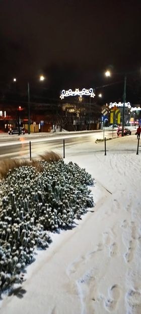 Trudne warunki do jazdy w Tychach /Gorąca Linia RMF FM