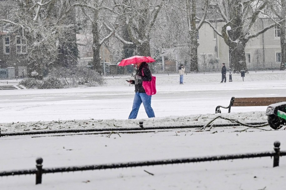 Trudne warunki drogowe w Szczecinie / 	Marcin Bielecki    /PAP