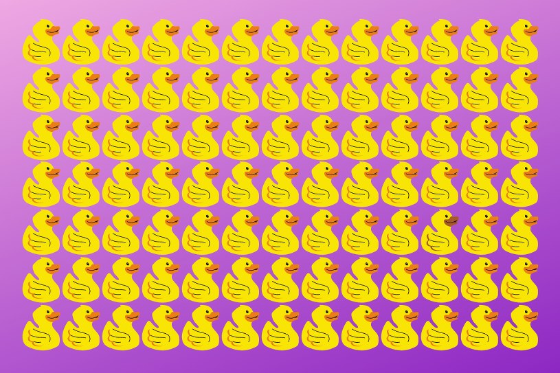 Trudny test na spostrzegawczość. Która kaczka różni się od pozostałych?