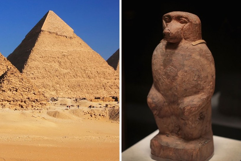 Trumna pawiana ze starożytnego Egiptu /Scott Olson /Getty Images