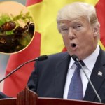 Trump miał konflikt, o którym mało kto wie. Poszło o małego ślimaka