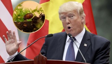 Trump miał konflikt, o którym mało kto wie. Poszło o małego ślimaka