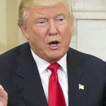 Trump zapowiada wydalenie 2-3 mln nielegalnych imigrantów