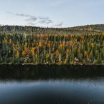 Trump zmienił decyzję z czasów Bidena. Chodzi o Alaskę