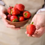 Truskawki będą świeże nawet przez tydzień. Tak zapobiegniesz szybkiemu psuciu się owoców