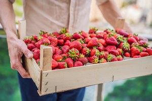 Truskawki można jeść bez ograniczeń? Te owoce też mogą podnieść poziom cukru