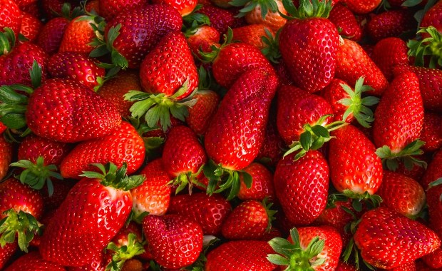 Truskawki polskie czy zagraniczne - łatwo je odróżnić