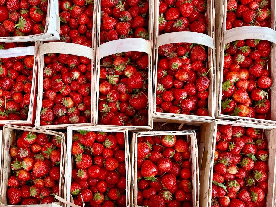 Truskawki wkrótce także z polskich grządek! /Shutterstock