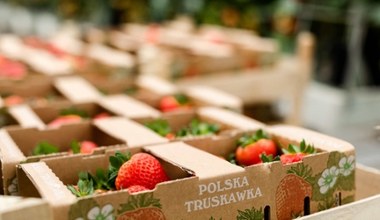Truskawki zaczynają jagodową sztafetę, wkręć się w zdrowie